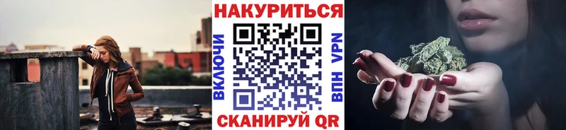 Бошки марихуана планчик  продажа наркотиков  Озёрск 